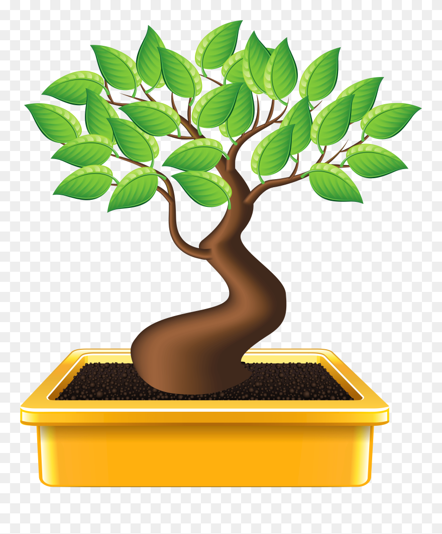 Bonsai Png Clipart Image - Bonsai Clipart Transparent Png