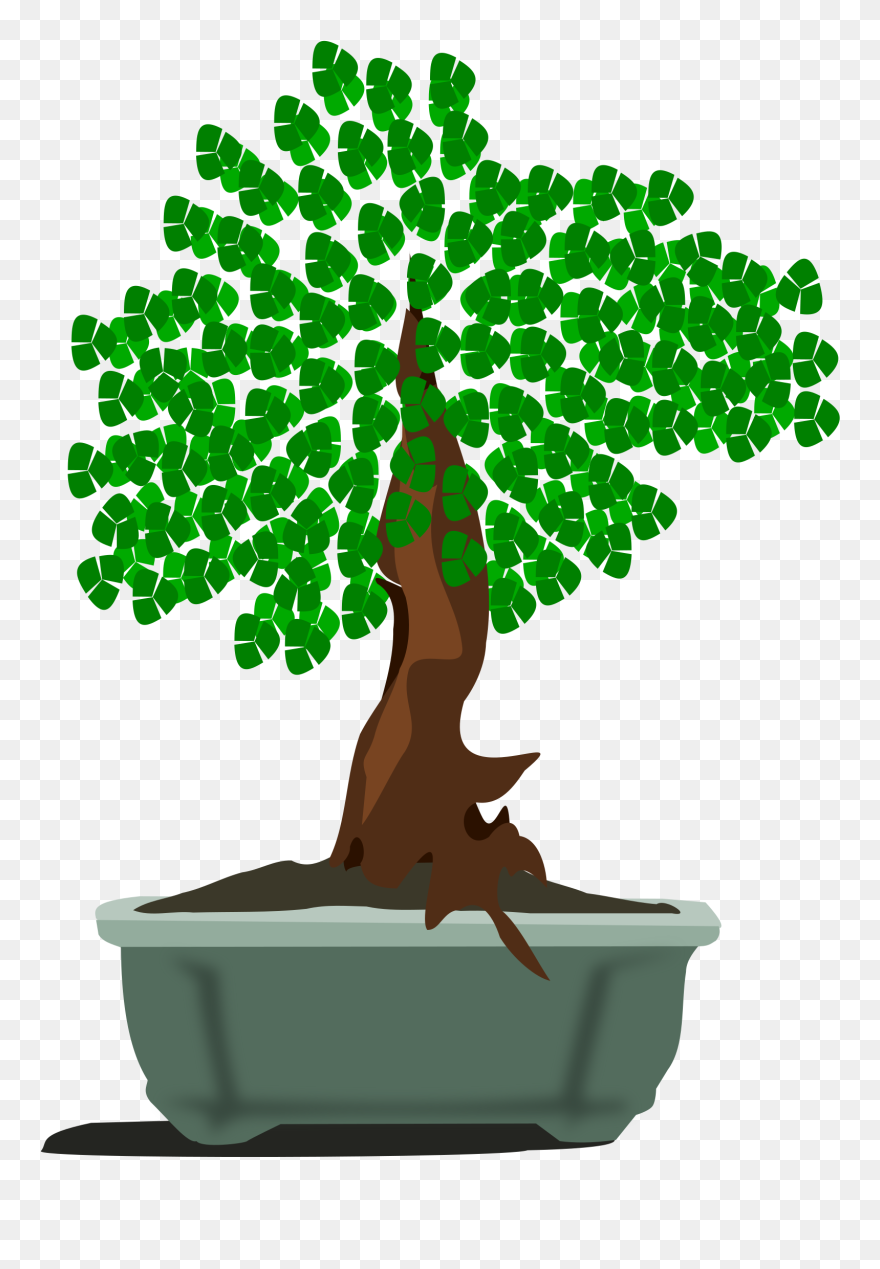 Bonsai-12 Clip Arts - ต้นไม้ ตัด แปะ - Png Download