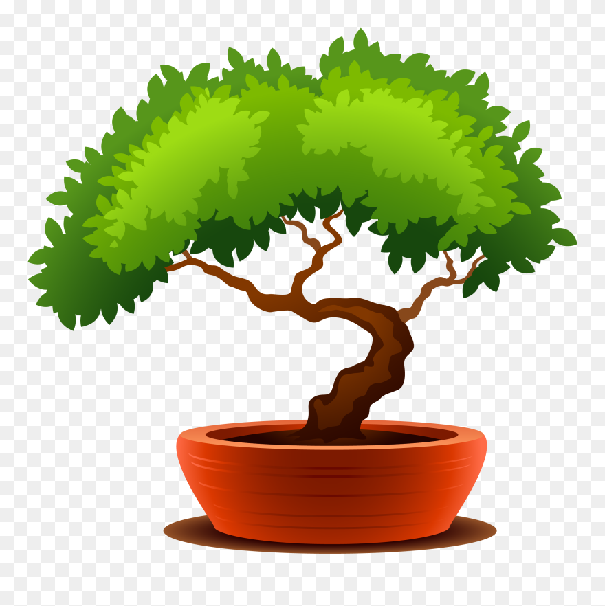 Bonsai Clipart Transparent - Bonsai Clipart - Png Download