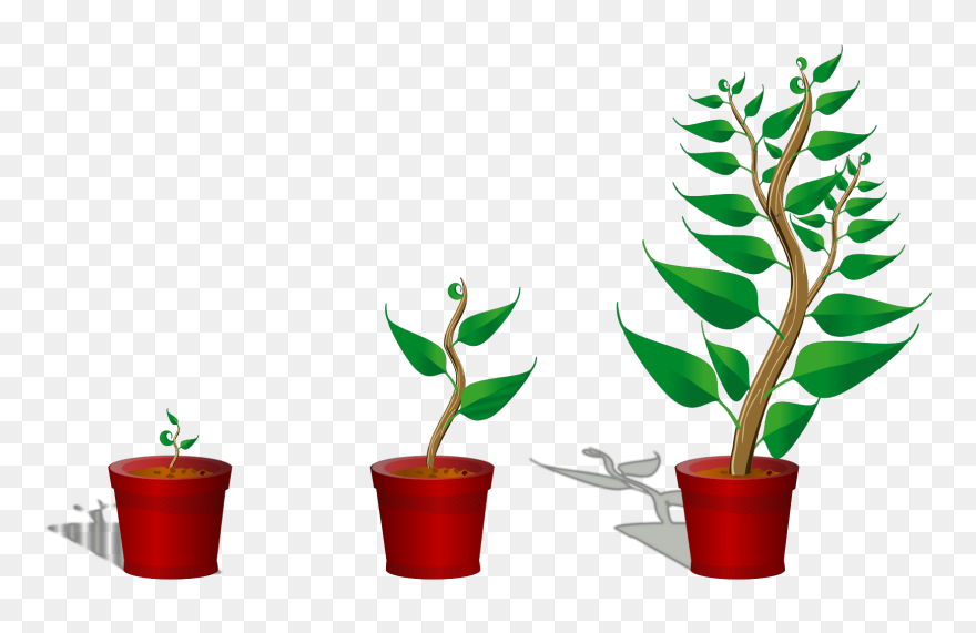 Growing Trees Clip Art, Icon And Svg - Getting To Know Plants - Png Download