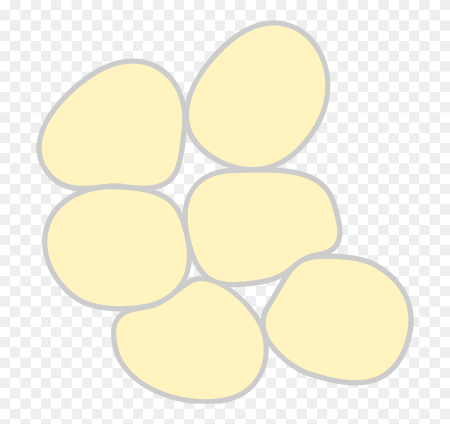 Cell Clipart Tissue Cell - Adipose Tissue Clipart - Png Download