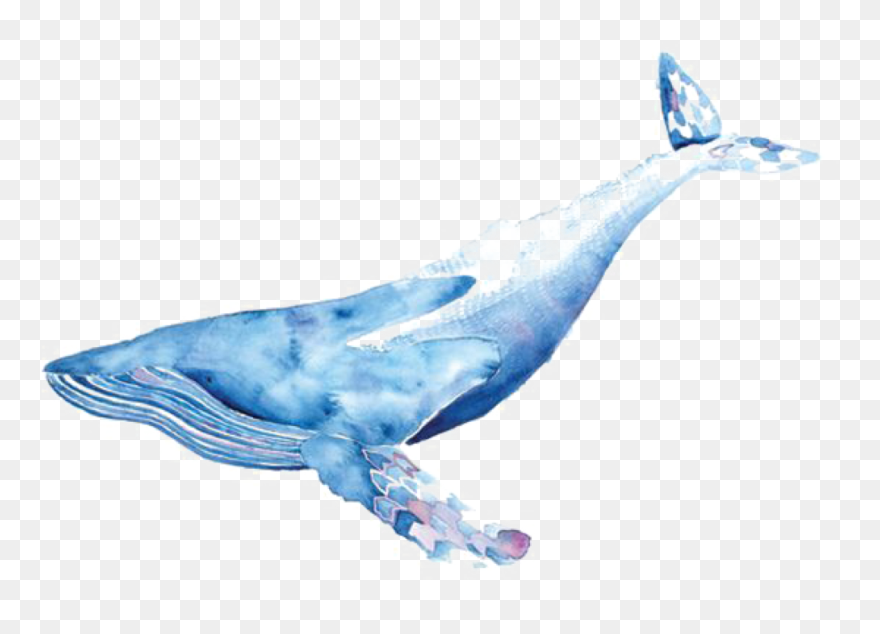 Freetoedit Sticker By Hanjo Rafael Blue Whale Watercolour - Whale Png Watercolor Clipart
