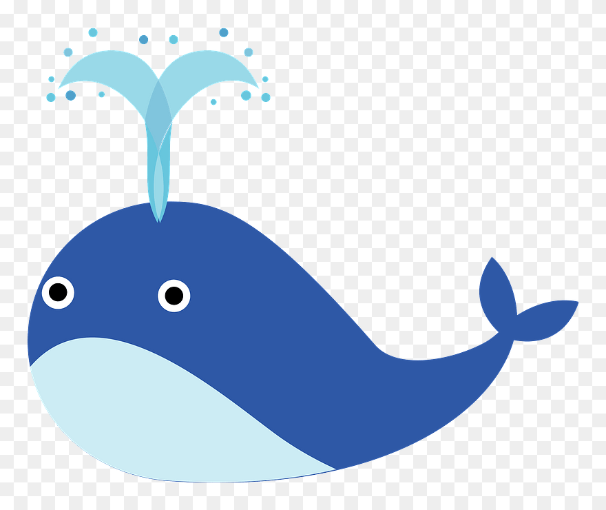 Whale Clipart - Png Download
