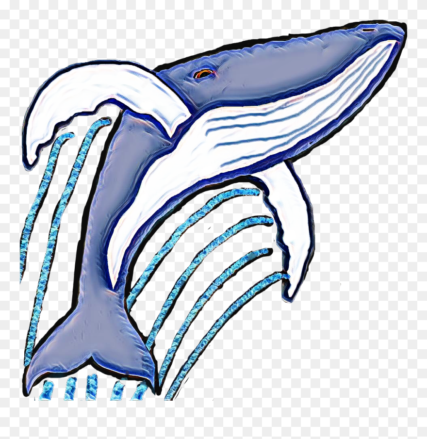 Short-beaked Common Dolphin Clipart