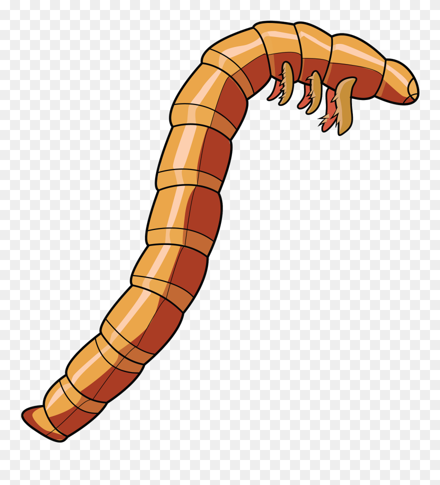 Mealworm Beetle Larva Clipart - Mealworm Clipart - Png Download