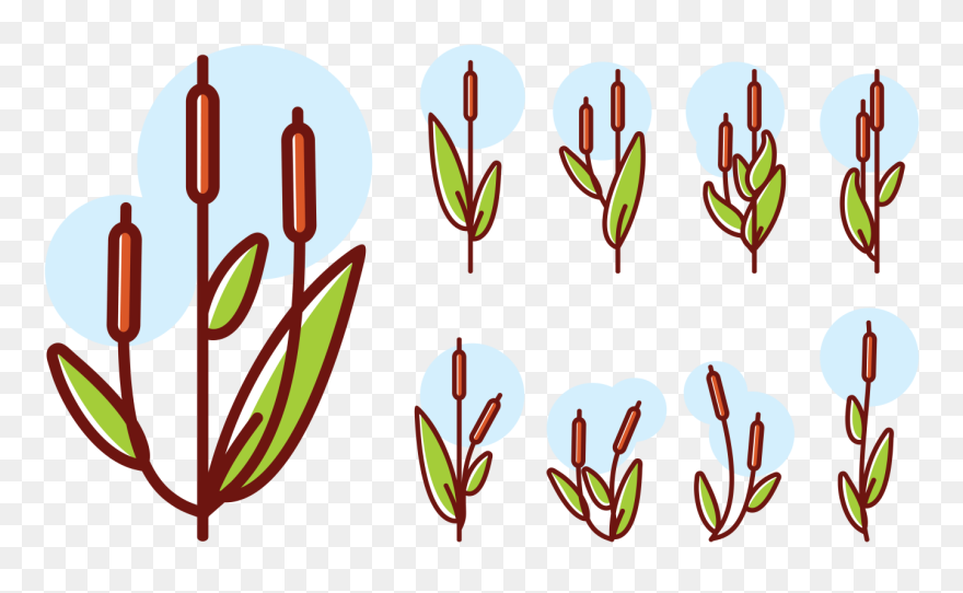 Cattails Icons Vector - Cattail Logo Clipart