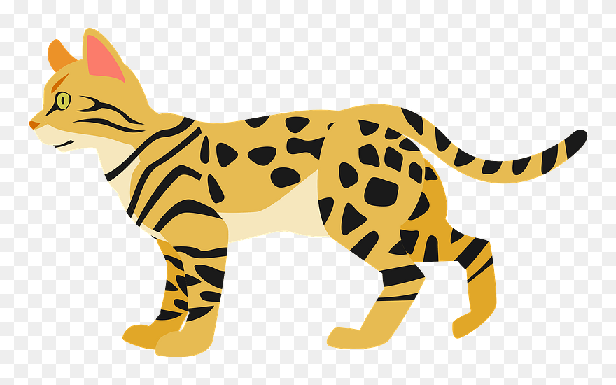 Bengal Cat Clipart - Png Download