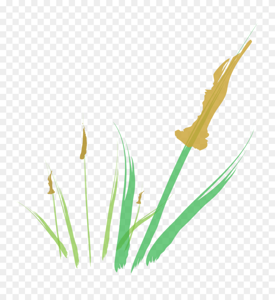 Illustration Clipart