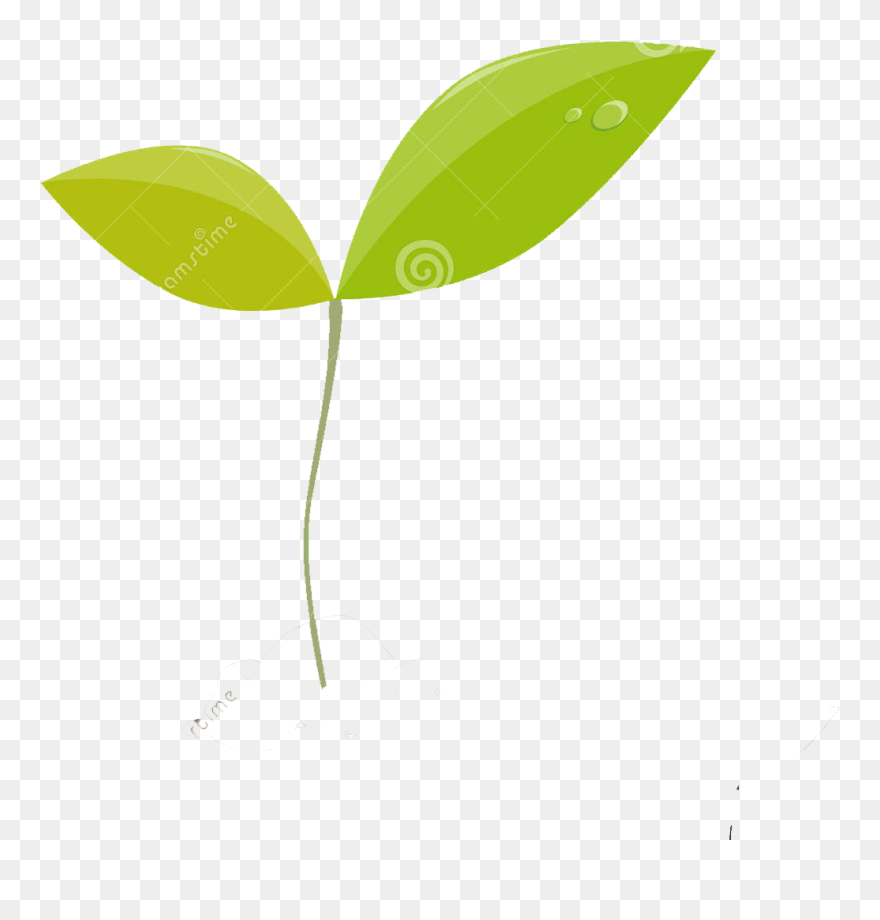 Transparent Ecology Clipart - Illustration - Png Download