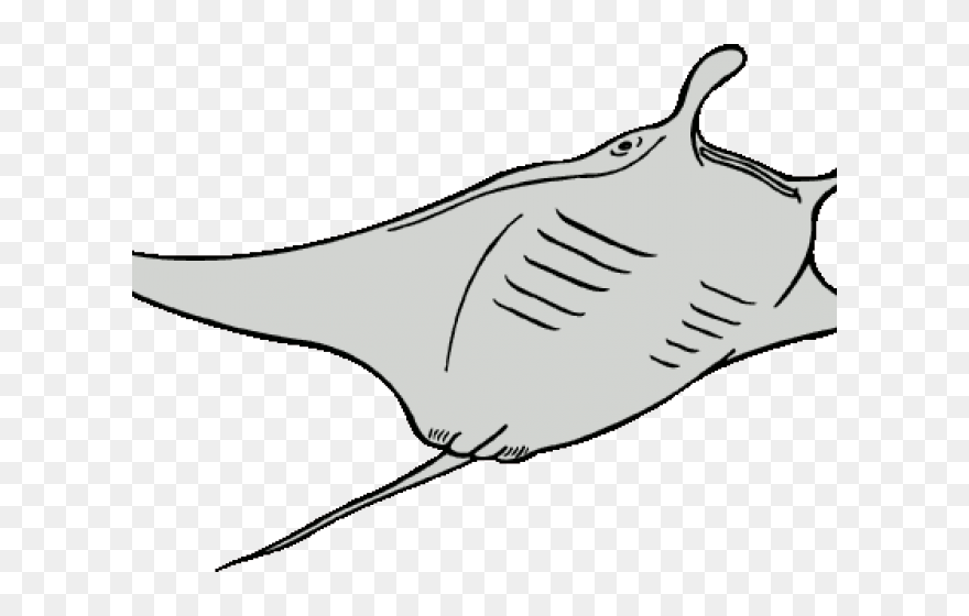 Pomegranate Clipart Black And White - Ocean Animals Coloring Pages - Png Download
