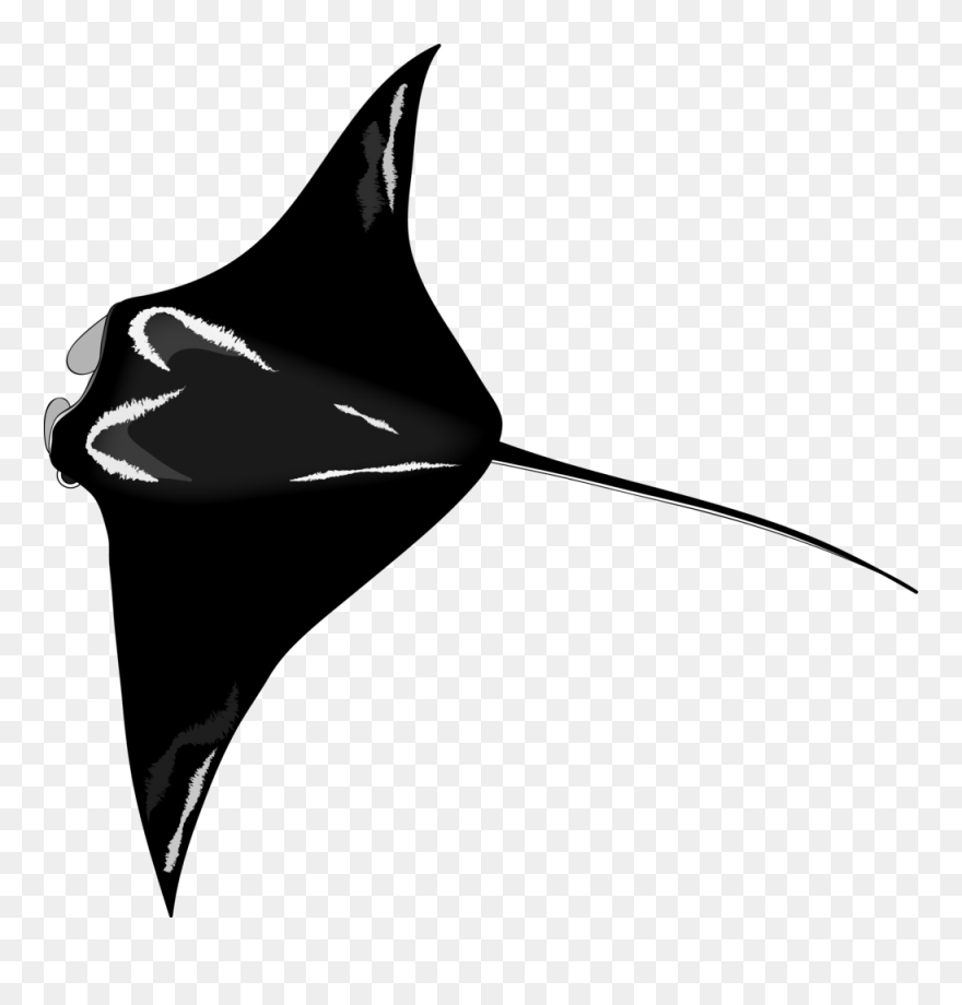 Sharks And Rays Icon Clipart