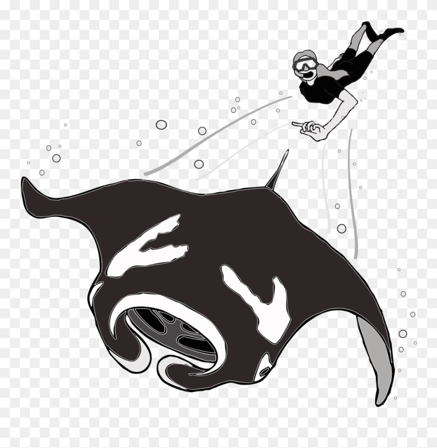 Illustration Clipart