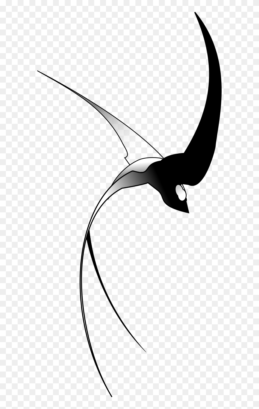 Illustration Clipart