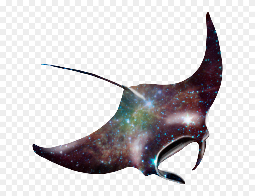Galaxy Manta Ray By Kristalst - Transparent Manta Ray Png Clipart