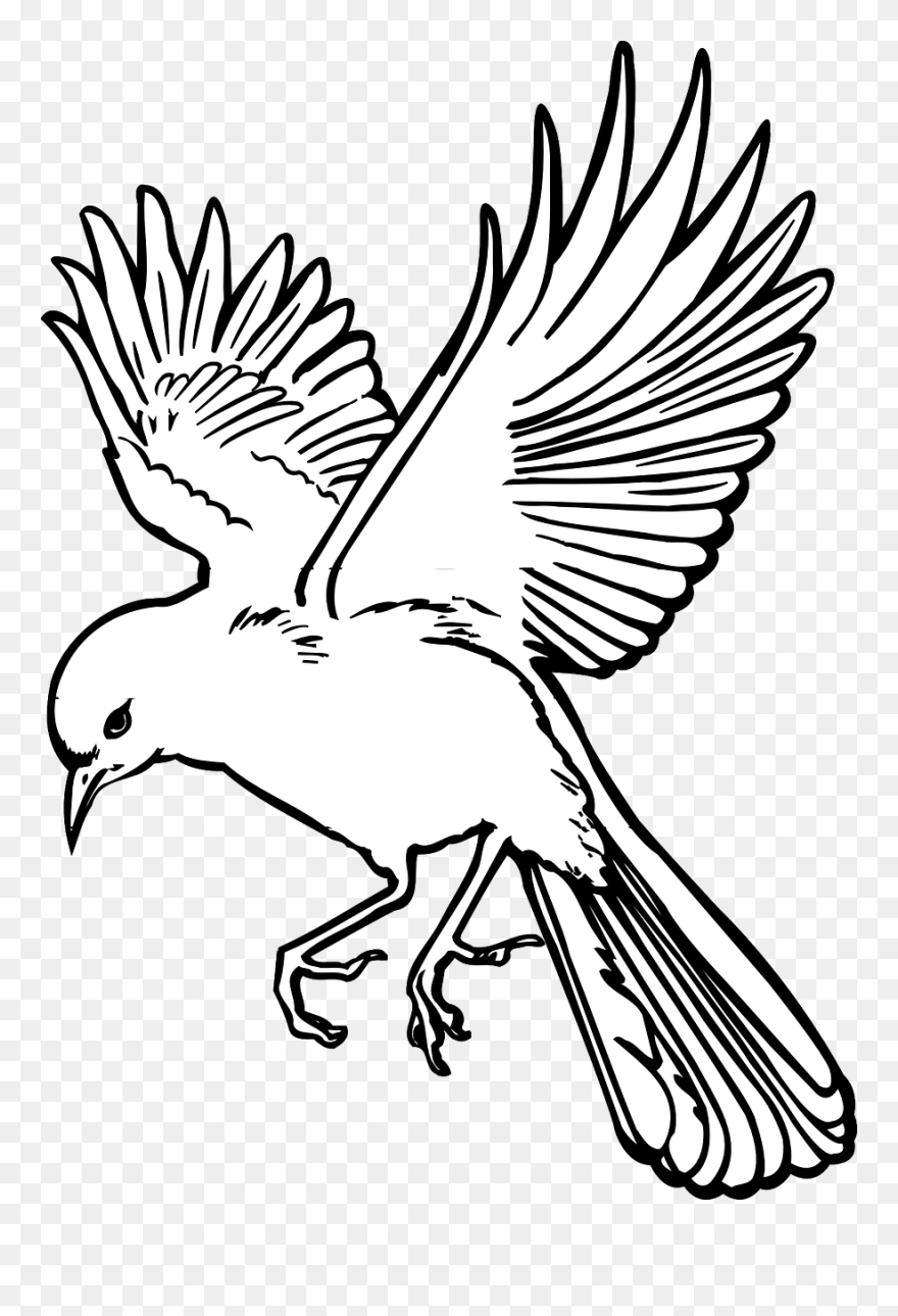 Outline Flying Bird Drawing Clipart