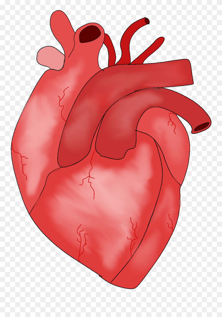 Rebecca Enright/art Editor - Illustration Clipart