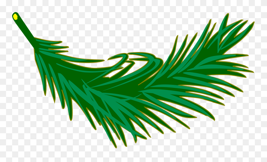 Palm Leaves Clipart - Png Download