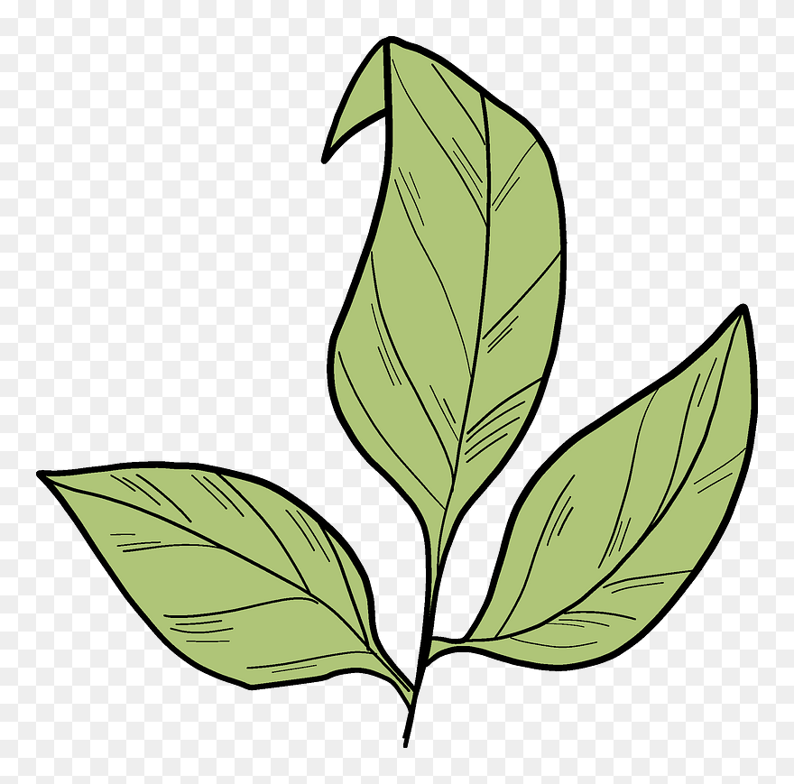 Rose Leaves Clipart - Png Download