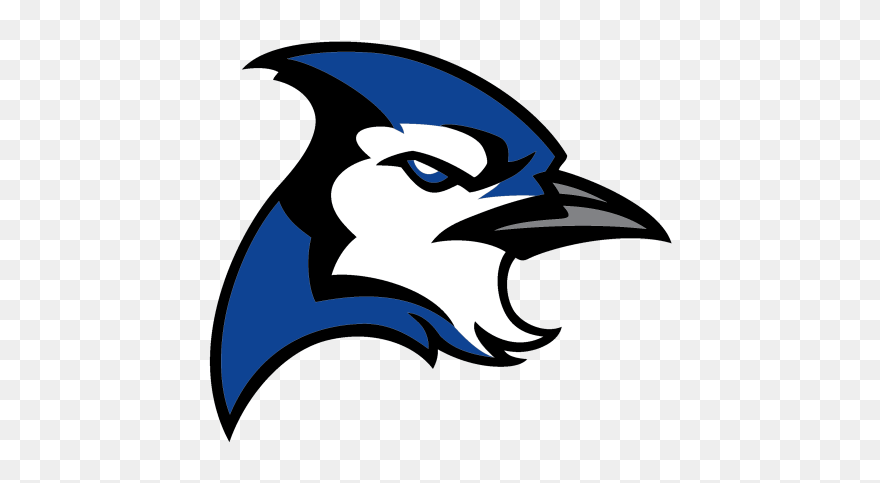 Blue Jay Clipart