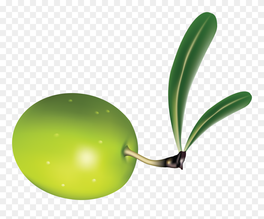 Olive Clipart Transparent Background - Olive Png