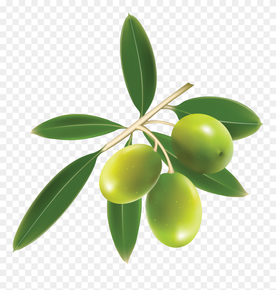 Olive Clipart Transparent Background - Olive Clipart - Png Download
