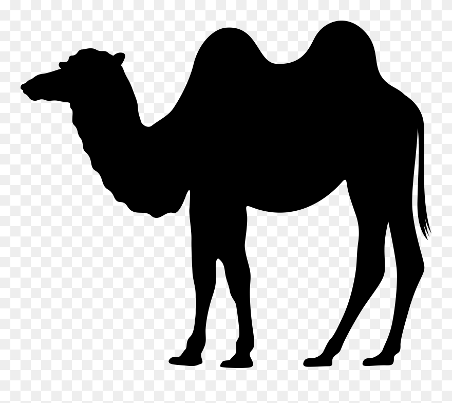 Dromedary Silhouette Clip Art - Png Download