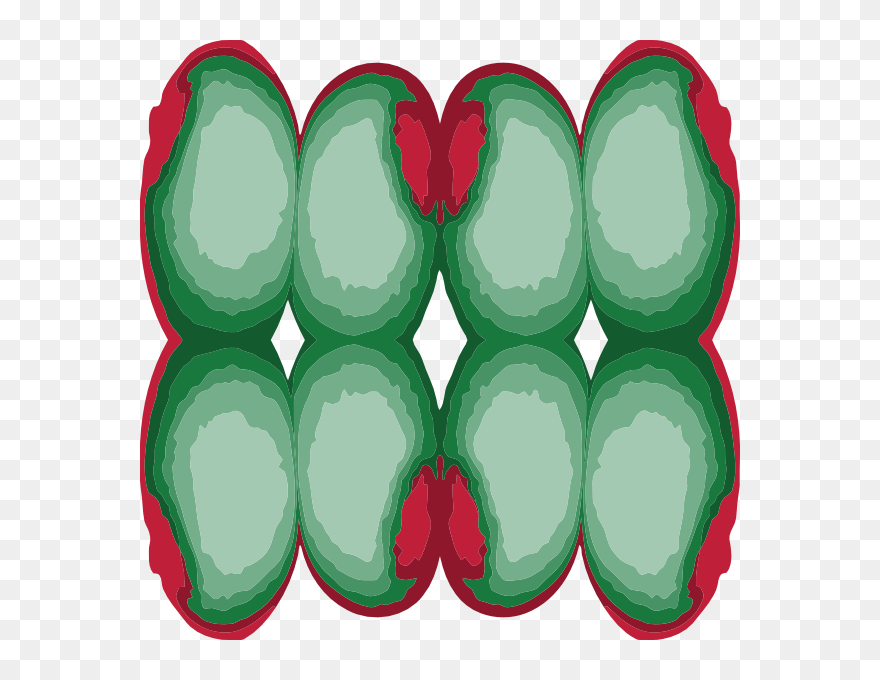 Clip Art - Png Download