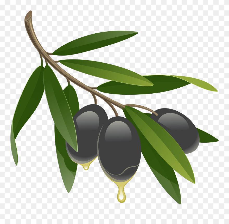 Olives Icon Clipart
