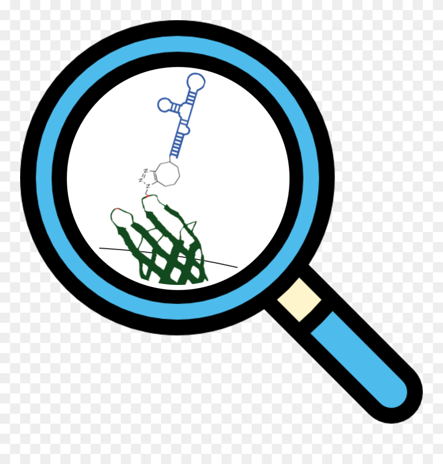 Comp Part - Лупа Png Иконка Clipart