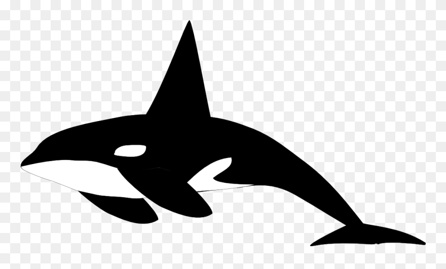 Killer Whale Shamu Clip Art - Orca Clipart Black And White - Png Download