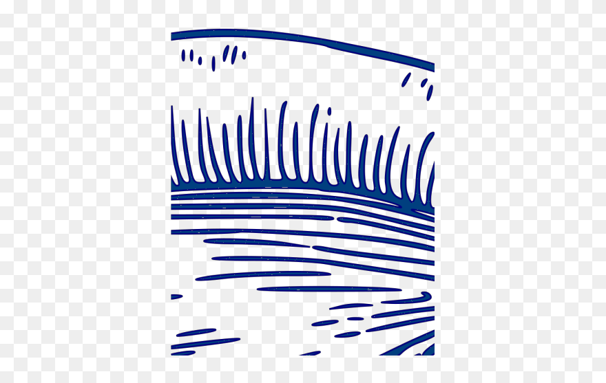 Conch Shell Png Icons - Conch Clipart