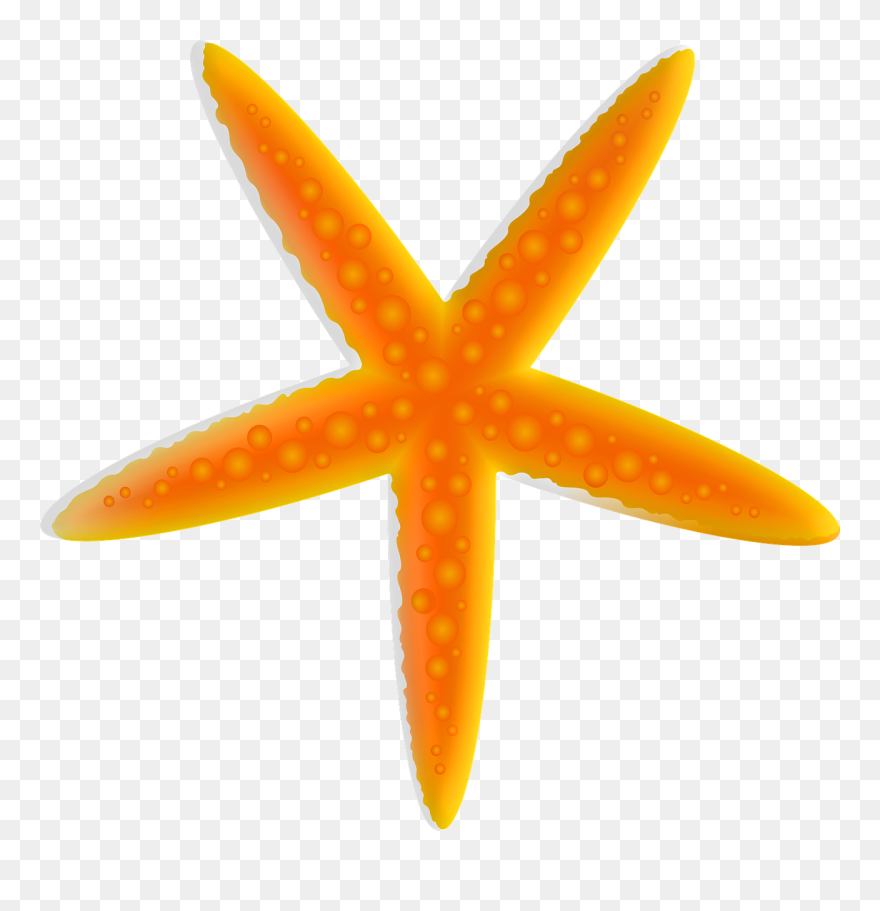 Starfish Clipart