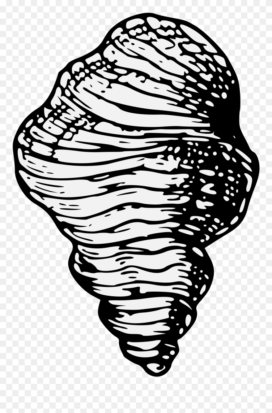 Clip Art - Png Download