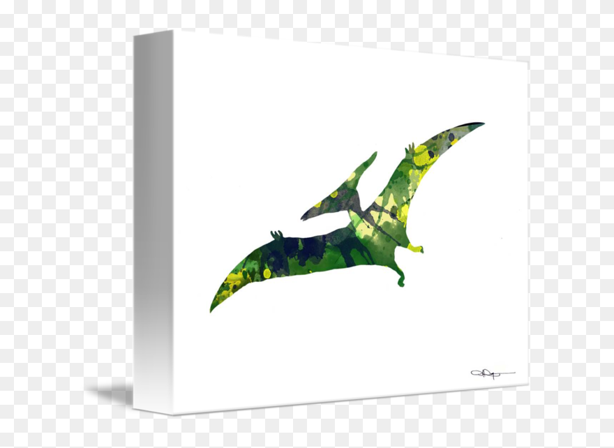 Pterodactyl Transparent Realistic - Pterodactyl Watercolor Painting Clipart