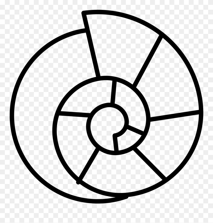 Transparent Conch Shell Clipart - Dibujo Concha Caracol - Png Download