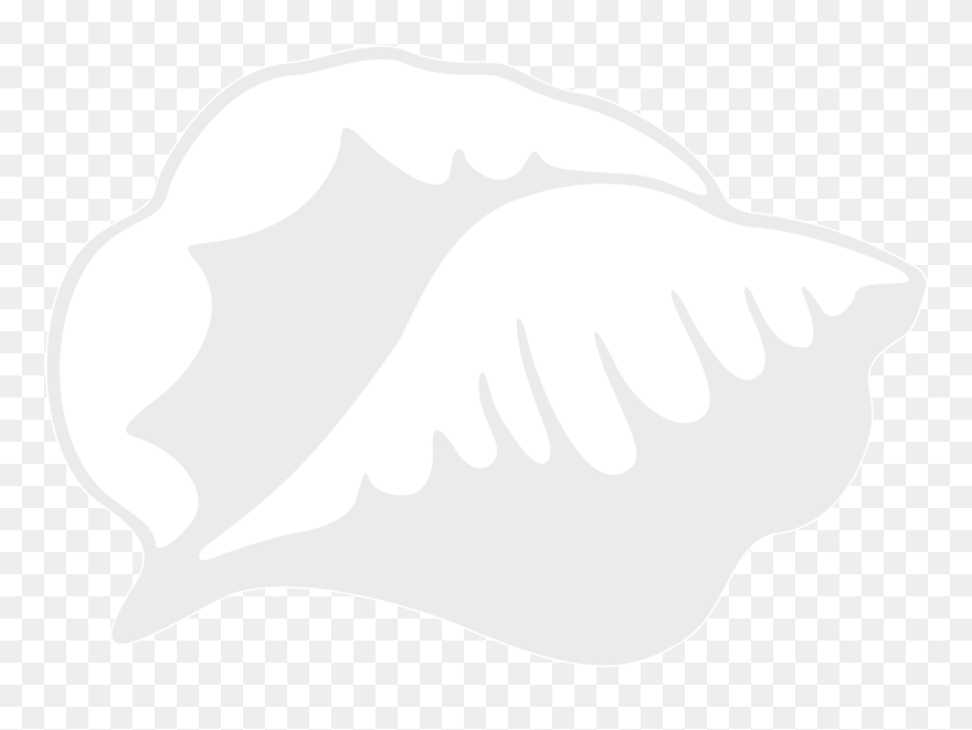 Conch Clipart