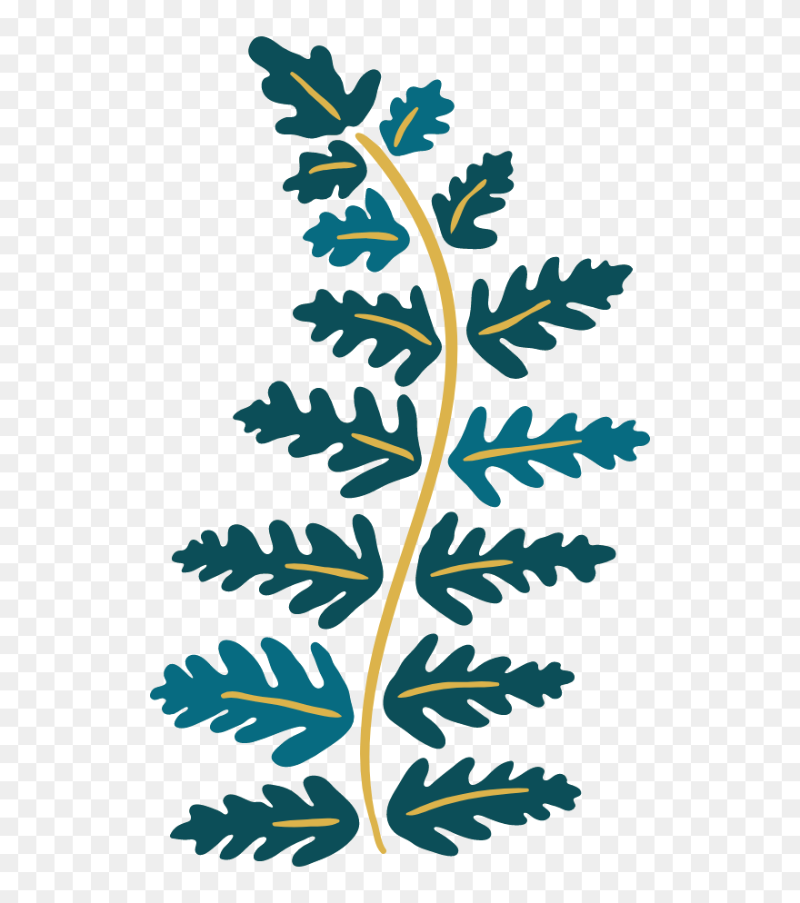 Clip Art - Png Download