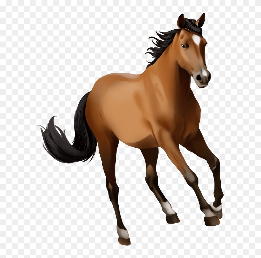 Mustang Mare Clipart - Stallion - Png Download