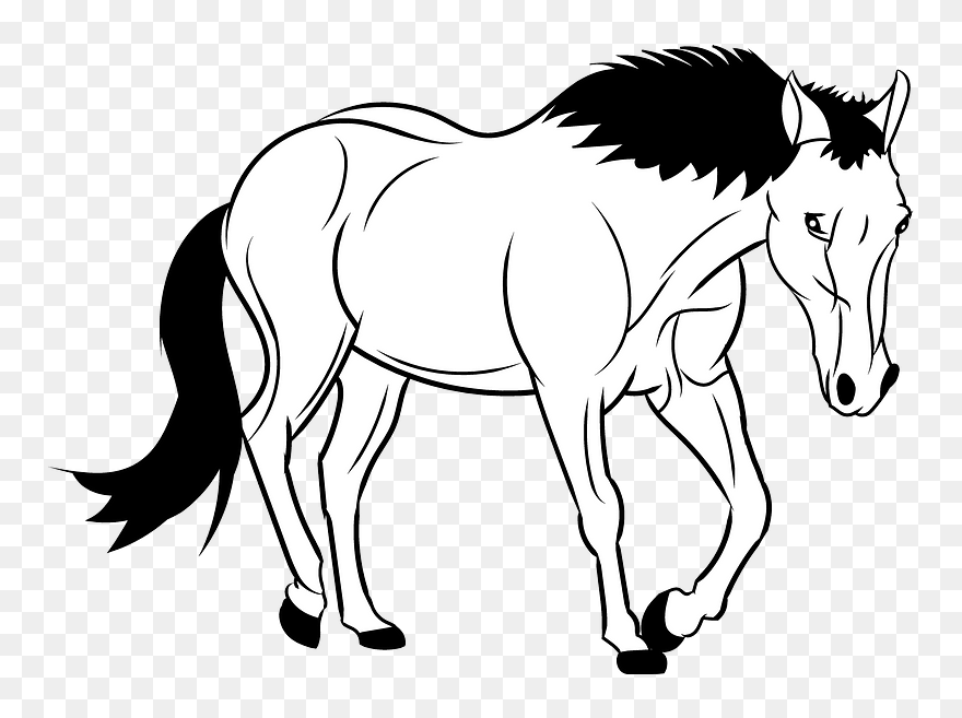 Mustang Clipart - Dibujos Para Colorear De Caballos - Png Download