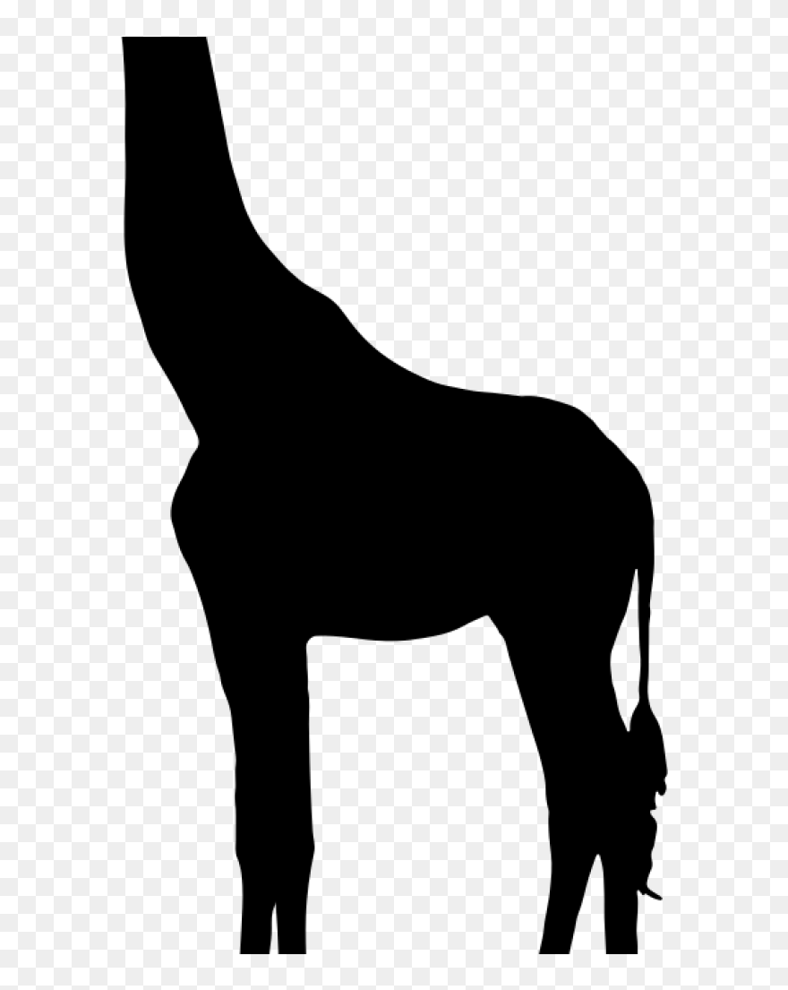 Giraffe Silhouette Mustang Clip Art - Giraffe African Animals Silhouette - Png Download