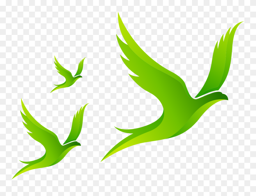 Clip Art - Png Download