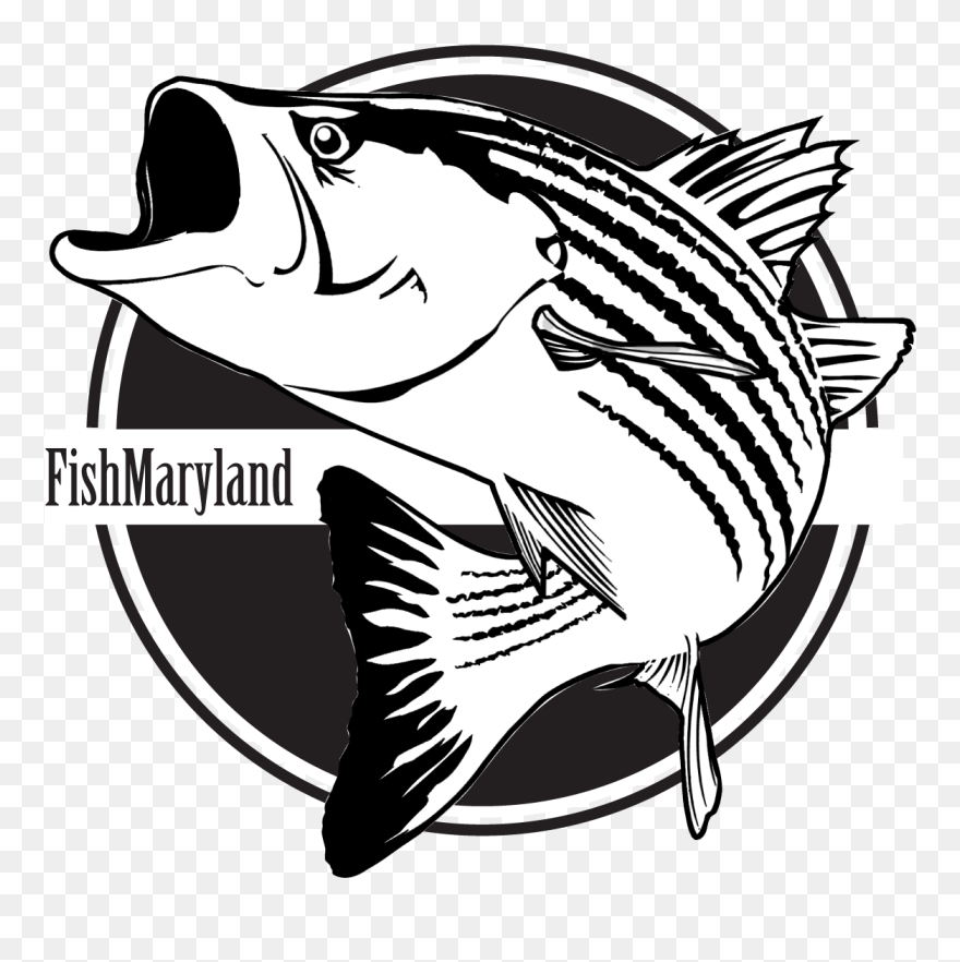 Recreational Fishing Clipart