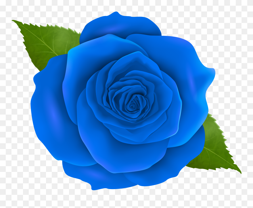 Png Blue Rose Clipart