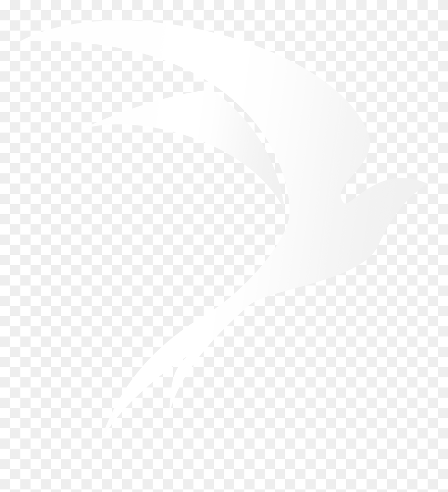 Illustration Clipart