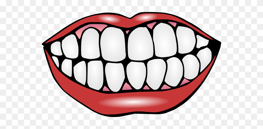 Teeth Clipart - Png Download