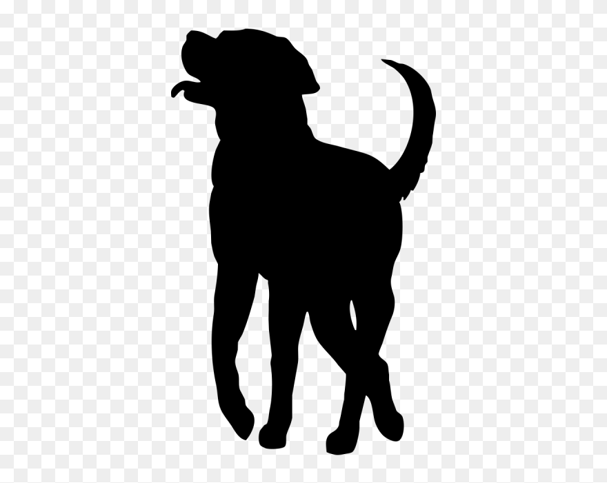 Labrador Retriever Puppy Dog Breed Smooth Collie Rough - Puppy Clipart