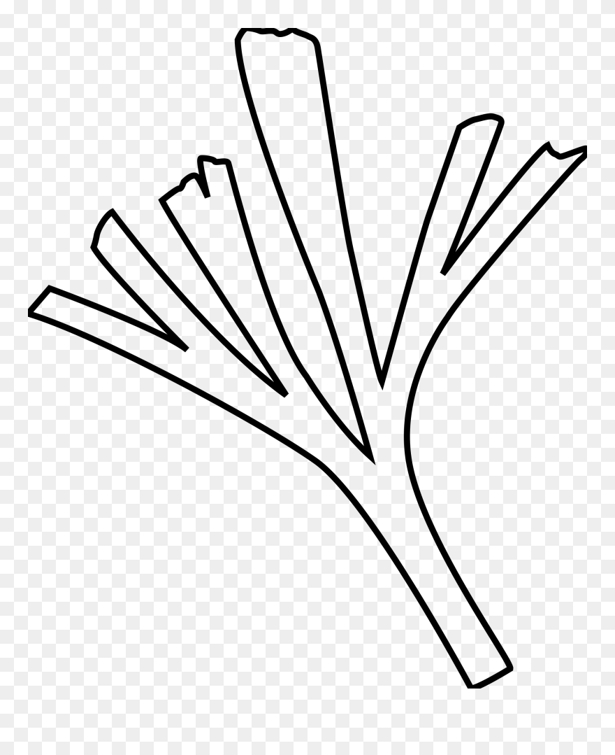 Fossil Library Download Leaf Huge Freebie Download - Baiera Clipart