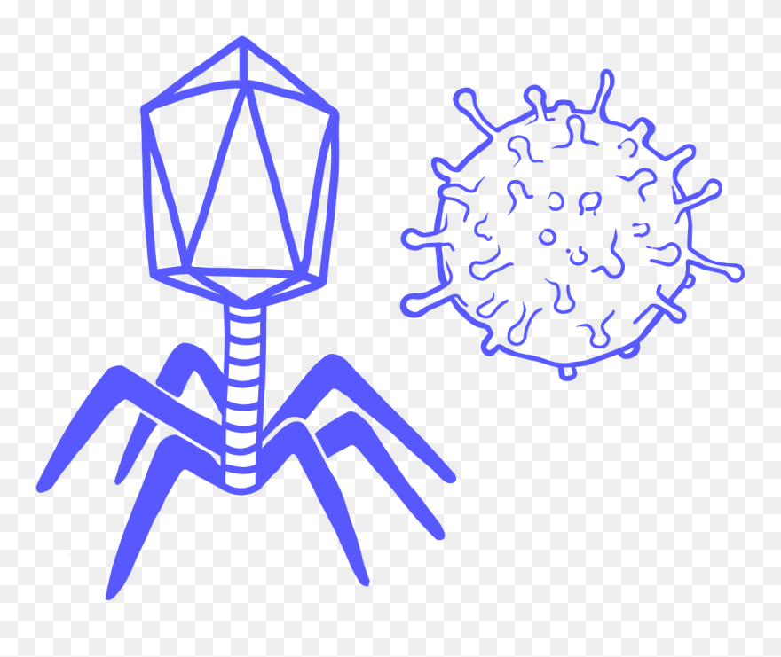Coronavirus - Transparent Bacteriophage Clipart - Png Download