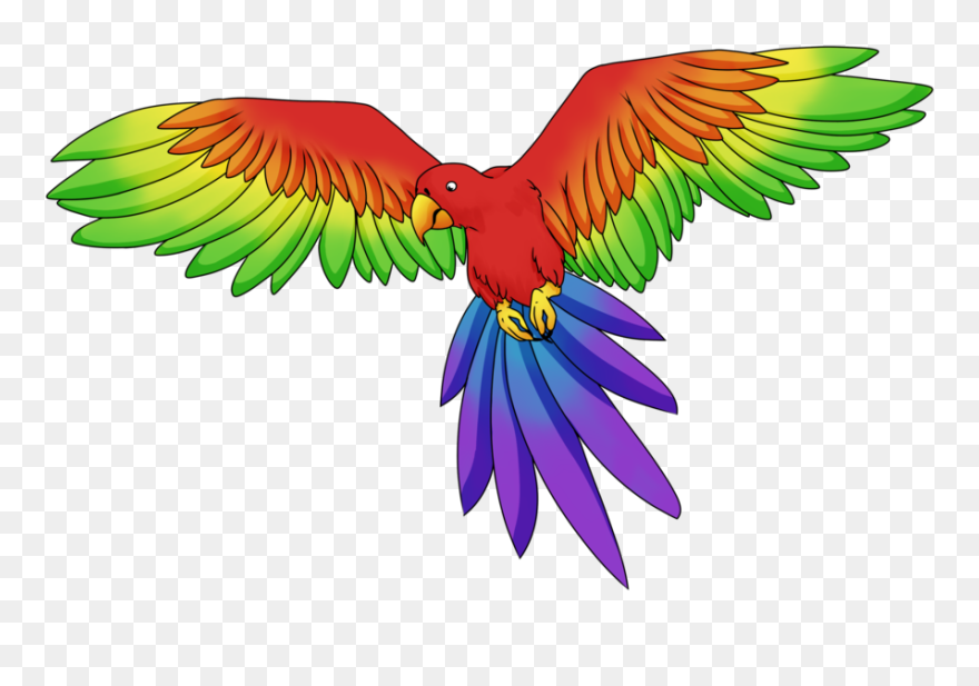 Macaw Clipart Rainbow - Rainbow Parrot Png Transparent Png