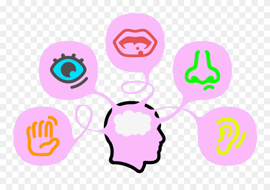 5 Senses Clipart Transparent, 5 Senses Transparent - Senses Clipart - Png Download